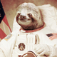 5d7082d52afbb.png