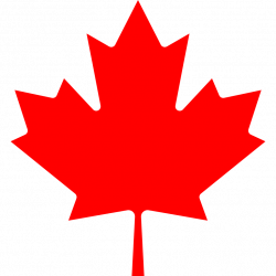 5f3ddc1ca9b08.png