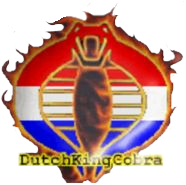 5fcb646c9ee0a.png