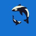 Nj0S96WbZ4toET2.jpg