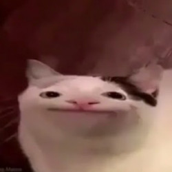mr8YhE1WbIBS4C7.jpg