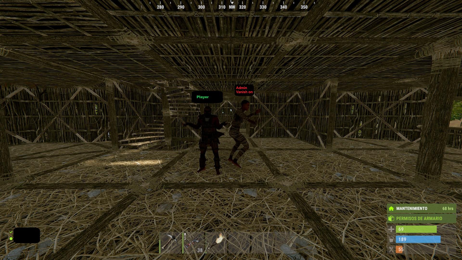 Player perspective