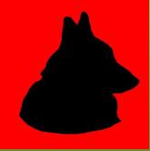 jyL36cfNZtp5ZxF.png