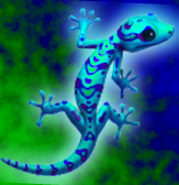 mXIygthI5jiFM4T.png